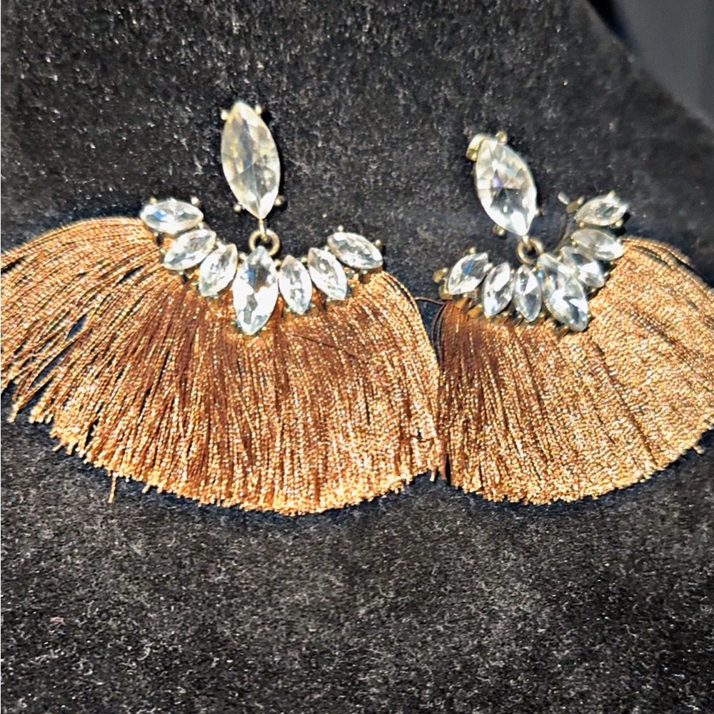 Elegant Brown & Silver Tassel Earrings